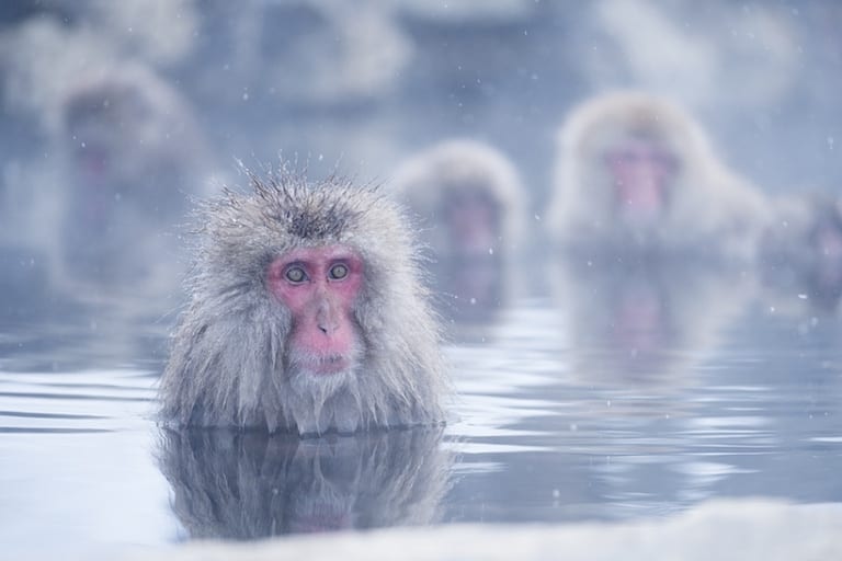 Digital Camera Mastery Learn How To Use Your Digital Camera