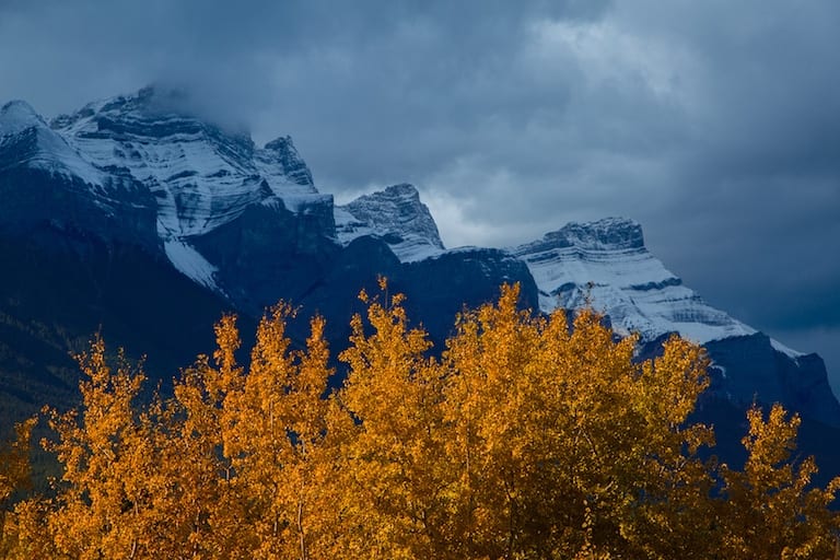 Digital Camera Mastery Learn How To Use Your Digital Camera