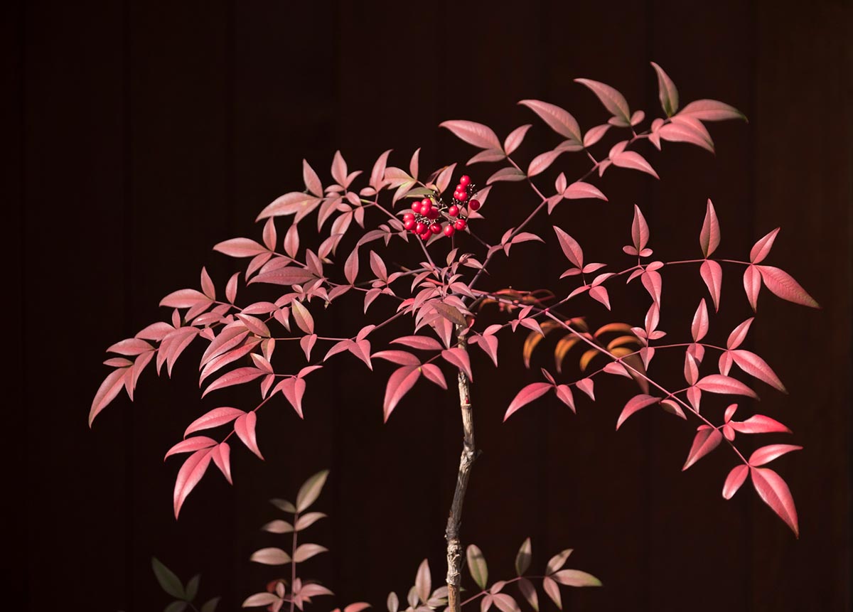 The Best Time Of The Day To Take Photos 21 Effective Tips