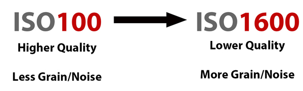 iso scale 1