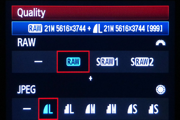 raw vs jpeg quality