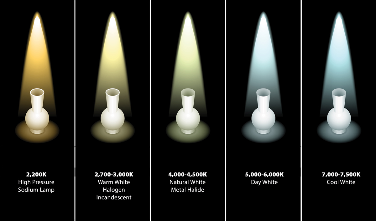 White Balance Explained How To Get Accurate Colors In Your Photos